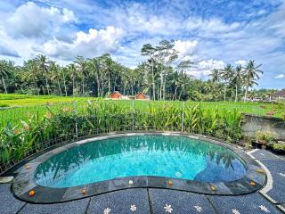 Cozy Private Villa in Rice Fields with Pool Top WiFi - Ubud - 0