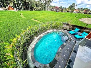 Cozy Private Villa in Rice Fields with Pool Top WiFi - Ubud - 9