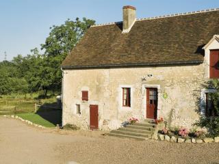 Gîte authentique au cœur du Perche, 18ème siècle, cheminée, jardin clos, animaux acceptés, WIFI inclus. - FR-1-497-49 - Pervenchères - 0