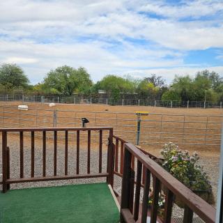 Horseshoe Tiny home - Scottsdale - 2