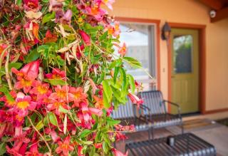 Newly Remodeled Family Friendly Home - Page - 7
