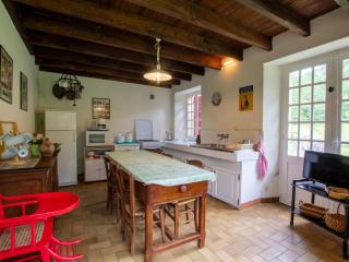 Maison de campagne 3 ch. avec jardin, animaux acceptés, proche Vallées Dordogne et Vézère - FR-1-616-32 - Paunat - 3