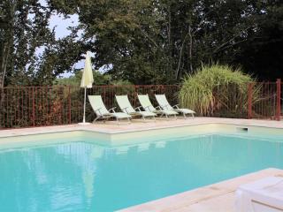 Location paisible proche de Belvès, animaux admis, terrasse - FR-1-616-147 - 2