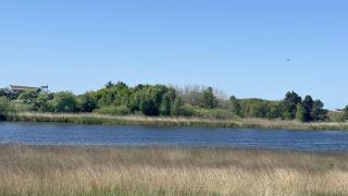 Haus-Achtern-Diek-Whg-02 - Sankt Peter-Ording - 2