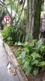 En el mejor punto de Medellín - 6