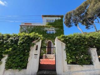 Villa exceptionnelle 8 couchages Cap d'Antibes en front de mer - FR-1-789-9 - Antibes - 0