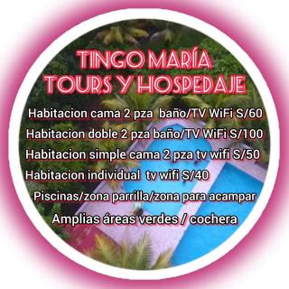 Tingo María Tours y Hospedaje - Tingo María - 2