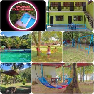 Tingo María Tours y Hospedaje - Tingo María - 1