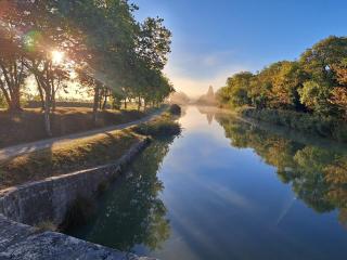 Le nid du canal - Pezens - 8