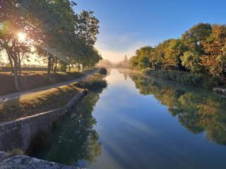 Le nid du canal - Pezens - 1