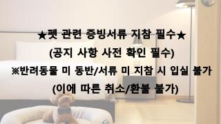 Maison Glad Jeju - 8