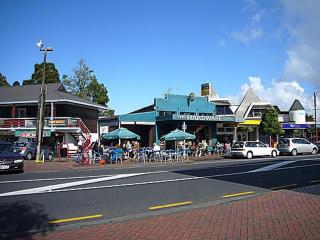 Garden Retreat - a 3 bedroom Home - Auckland - 1