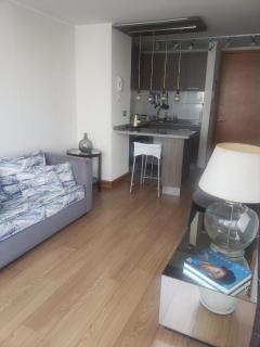 One-bedroom apartment - Antofagasta - 4