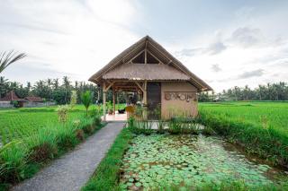 Pondok Mawas - Ubud - 6