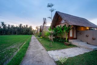 Pondok Mawas - Ubud - 5