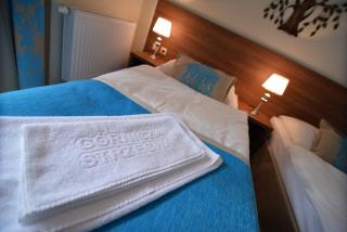 Hotel EUROPA - Górnicza Strzecha - Szklarska Poręba - 3