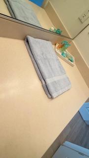 Cozy bright flat in a quiet area - Beaverton - 5