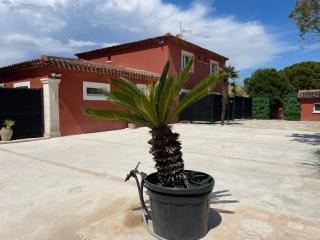 La Casa Bella - Gignac-la-Nerthe - 0