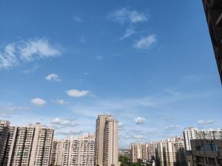 The Forest Stays-Luxury City Loft With Balcony Bliss - Noida - 1