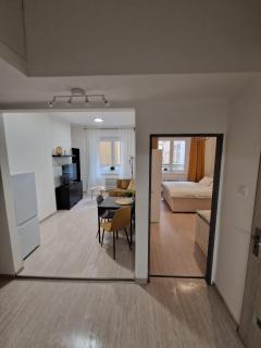 Apartmán Grébovka - Praga - 4