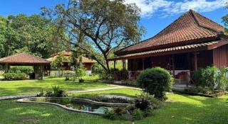 Satwa Elephant Eco Lodge - Labuhanratu - 1