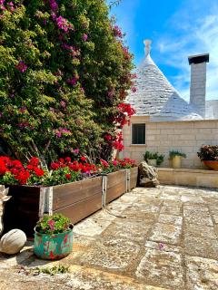 Trullo Elisabetta - Ceglie Messapica - 7