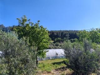 Yachting lodge 83 - Sanary-sur-Mer - 4