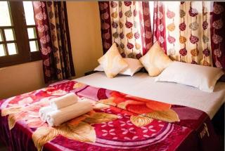 Shiva Guest House - Dharamshala - 1