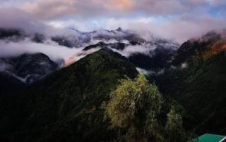 Shiva Guest House - Dharamshala - 0
