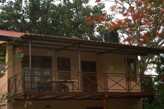 Tamarind Tree Masinagudi - 4