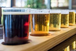 Cambria Hotel Templeton - Paso Robles - Templeton - 2