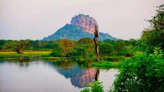Jungle Edge Home Sigiriya - Sigiriya - 9