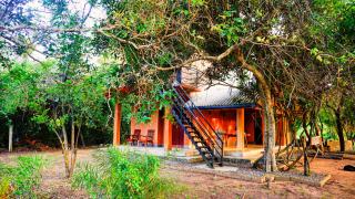 Jungle Edge Home Sigiriya - 9