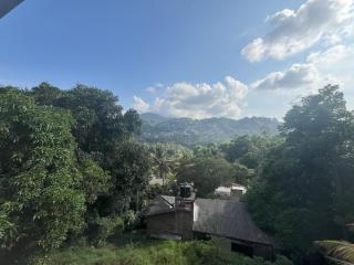 Mountain View Homestay - 3