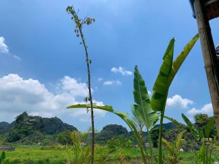 Rocky mountain ecology - Xuân Sơn - 3