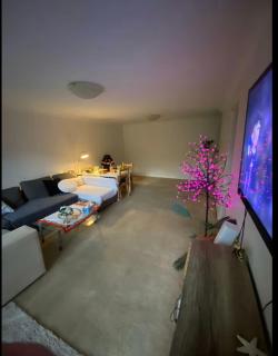 Hidden Gem North Sydney - Sydney - 7