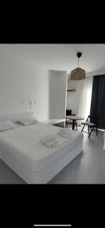 Eleni's Studios - Karavostasi - 2