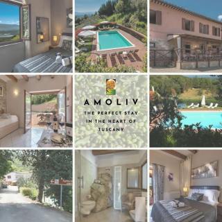 Amoliv - Cavriglia - 0