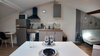 COSY APPARTEMENT 1 CHAMBRE l Netflix l Terrasse - Castres - 8