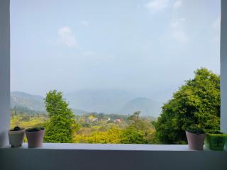 Valley Mist rooms & kitchen - 2