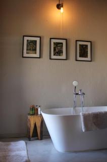 Sausage Tree Safari Camp - Balule Game Reserve - 7
