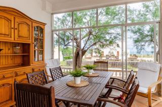 YourHouse Cas Aviador - 4