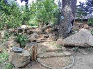 Nature Kingdom Sri Lanka - 1