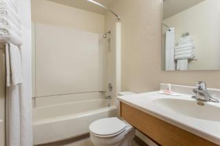 Super 8 by Wyndham Lacey Olympia Area - Lacey - 5