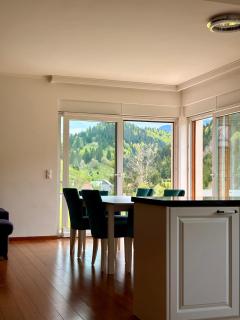 Luxury Villa Kadic - Bjelašnica - 4