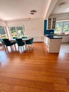 Luxury Villa Kadic - Bjelašnica - 2