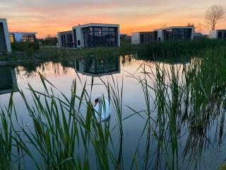Marina Strandbad Chalet SunnyTides Haus Nr 36 - Olburgen - 6