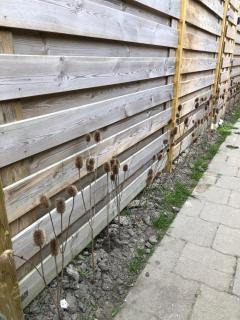 Westkapelle appartement en vakantiehuis - 2