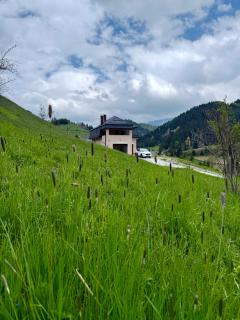 Luxury Villa Kadic - Bjelašnica - 8