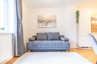 Modern 1BR & 1LR Apt with Balcony 9-min to City Center - Vienna - 8